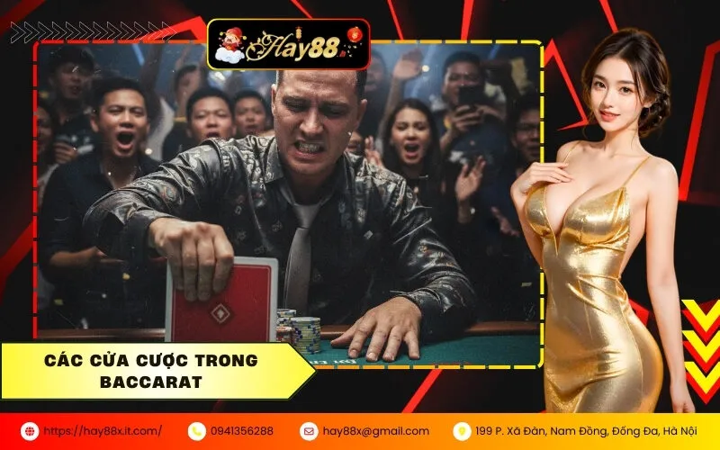 Các Cửa Cược Trong Baccarat