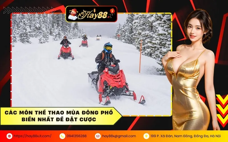 Các môn thể thao mùa đông phổ biến nhất để đặt cược