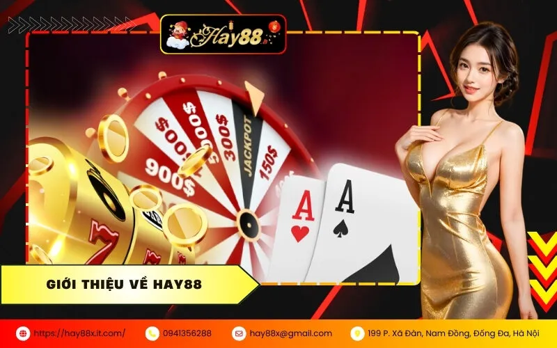Giới Thiệu Về HAY88